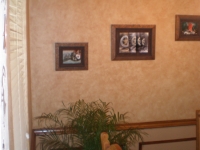 Pictures-117.jpg
